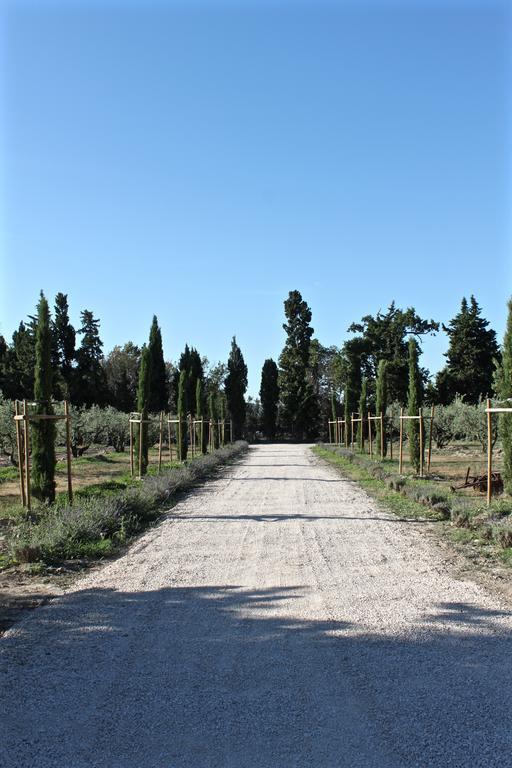 Bed and Breakfast Domaine De Fontbelle Graveson Exterior foto